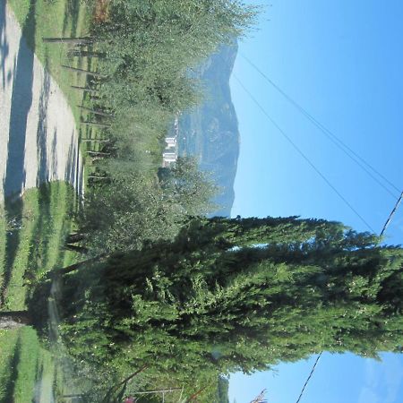 Valle Degli Ulivi Appartamento Terni Luaran gambar