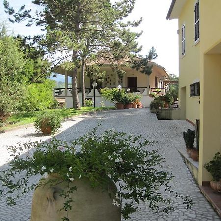 Valle Degli Ulivi Appartamento Terni Luaran gambar