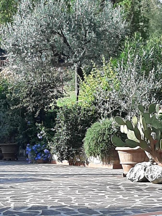 Valle Degli Ulivi Appartamento Terni Luaran gambar
