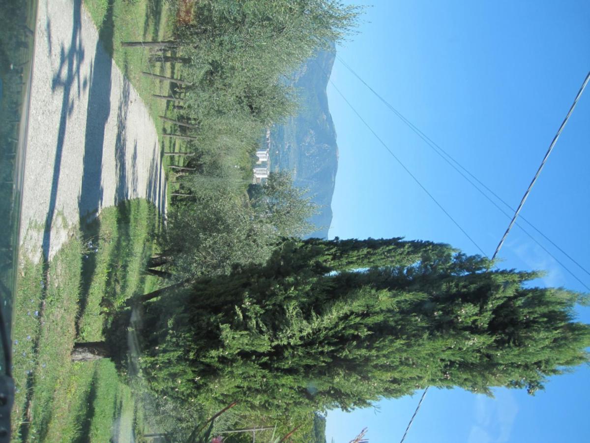 Valle Degli Ulivi Appartamento Terni Luaran gambar