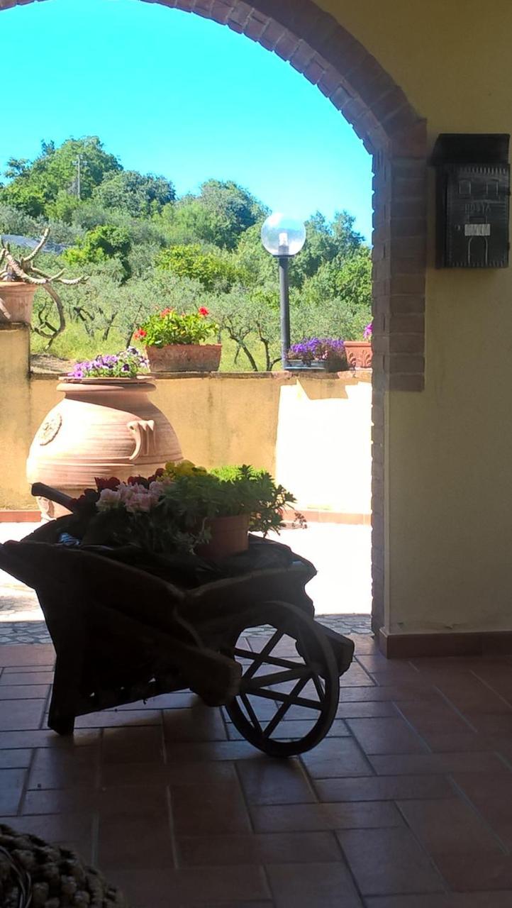 Valle Degli Ulivi Appartamento Terni Luaran gambar