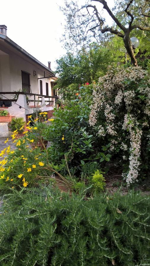 Valle Degli Ulivi Appartamento Terni Luaran gambar